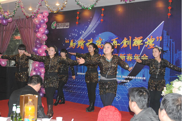 bevictor伟德年会圆满成功(图9) bevictor伟德年会圆满成功(图9)